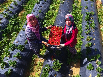 Kadın çiftçilerin gözbebeği 