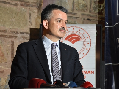 Pakdemirli: “Marmara’nın balığında sorun yok”