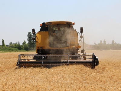 Çorak topraklar gitti biçerdöverler geldi
