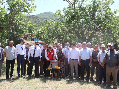 İncirlere ‘ekşilik tuzaklı’ koruma