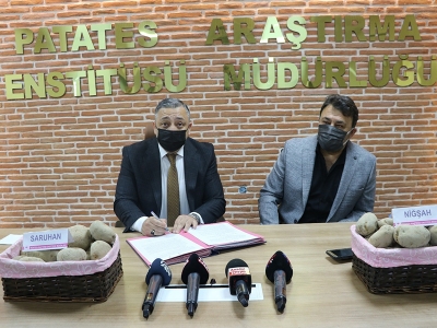 Yerli patates tohumları Saruhan ve Niğşah piyasada