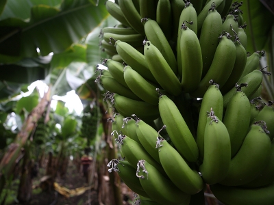 Sektör değiştirdi, istihdam sağladı