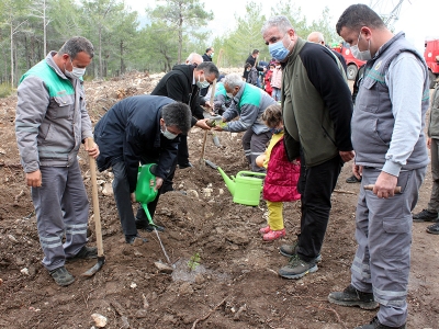 Erdemli'de biberiye ve defne fidanları toprakla buluşturuldu