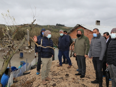 Zeytin eğitimleri sürüyor