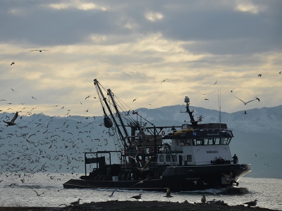 Drone ile kaçak balık avı denetimi