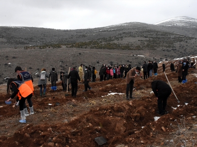 Ahi Evran Kardeşlik Ormanı kuruldu