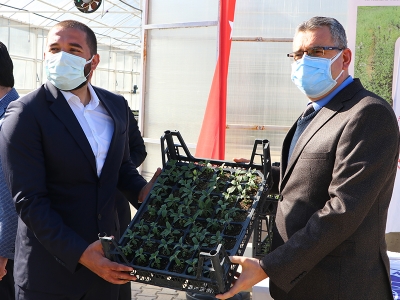 Tekirdağ'da çiftçiye 56 bin ada çayı fidesi dağıtıldı