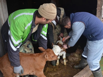 Pakdemirli’den destek müjdesi