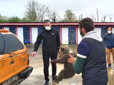 Neyse ki iyi insanlara rastladılar…