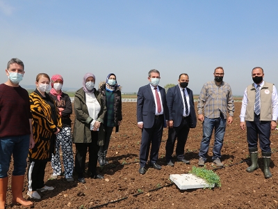 Tarım ‘kapanmıyor’ üretim devam ediyor