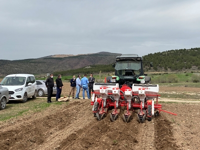 Atıl araziler ayçiçeğiyle canlanacak