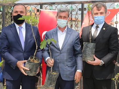 Yeni bahçeler destek fidanla kuruluyor