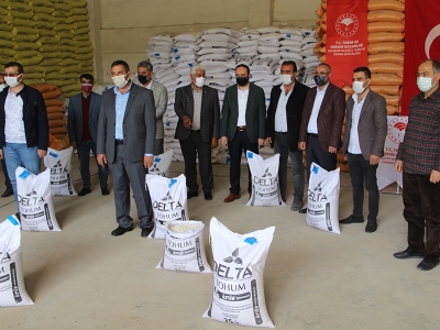 Fasulye üretimine sertifikalı tohum desteği