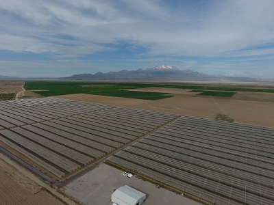 Modern bahçelerde kaliteli üretim