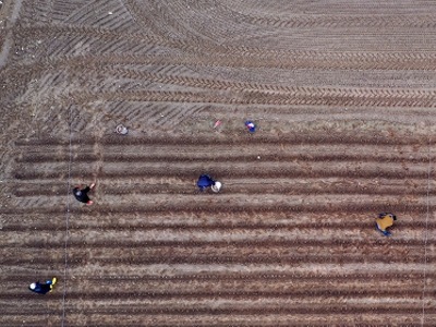 Zambaklar Edirneli çiftçi için açıyor