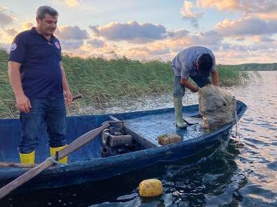 Yasa dışı avcılık yapanlara göz açtırılmıyor