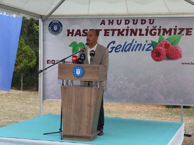 Bursa’da ahududu hasadı başladı