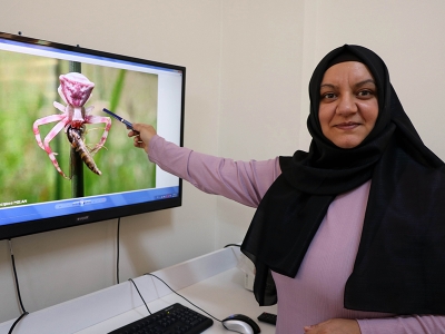 Yozgat’ta insan yüzlü örümcek görüldü