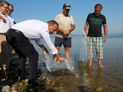 Bursa’nın gölleri balıklandırıldı