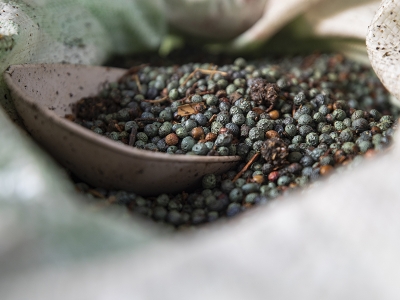 Gençlik hayalini destekle gerçekleştirdi