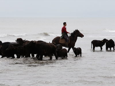 Mandalar denizle buluştu