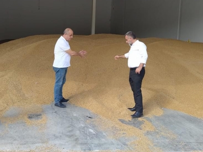 TMO buğday ve arpa alımlarına başladı