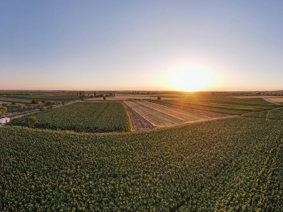 Aksaray ürün yelpazesiyle zirveye koşuyor