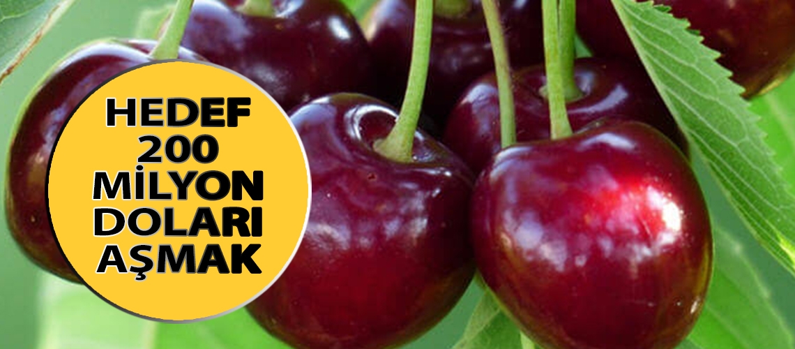 Kirazda yüksek rekolte beklentisi