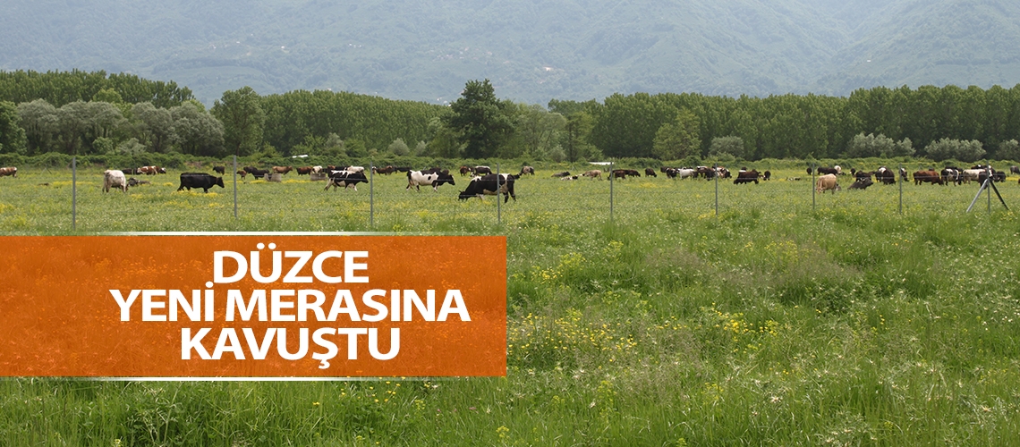 Düzce yeni merasına kavuştu