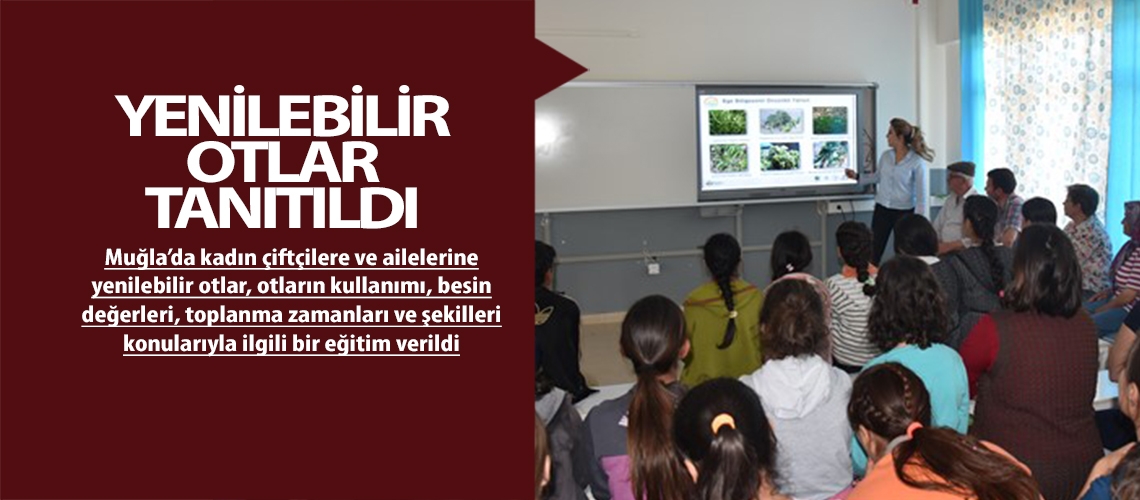 Yenilebilir otlar tanıtıldı