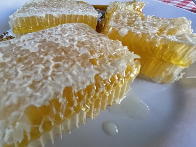 Yenice ıhlamur balı 