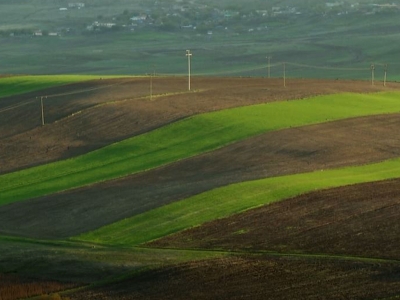 İşlenmeyen tarım arazilerinde ilk kiralama kasımda
