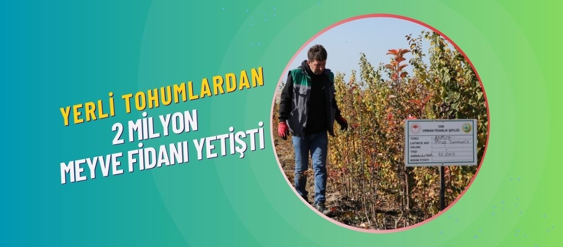 Yerli tohumlardan 2 milyon meyve fidanı yetişti
