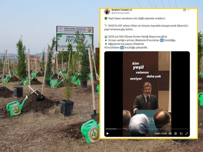 Yeşil Vatan’a 517 milyon yeni fidan ve tohum