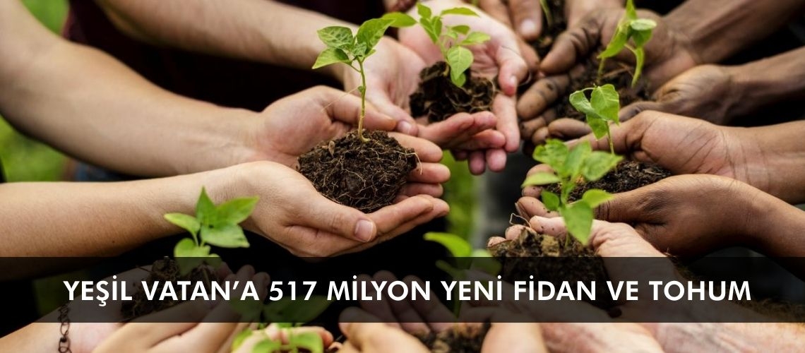 Yeşil Vatan’a 517 milyon yeni fidan ve tohum