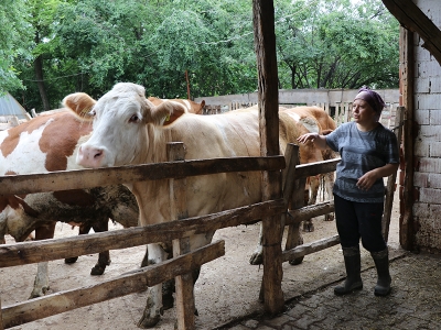Kadın çiftçinin projesi çiftliğe dönüştü