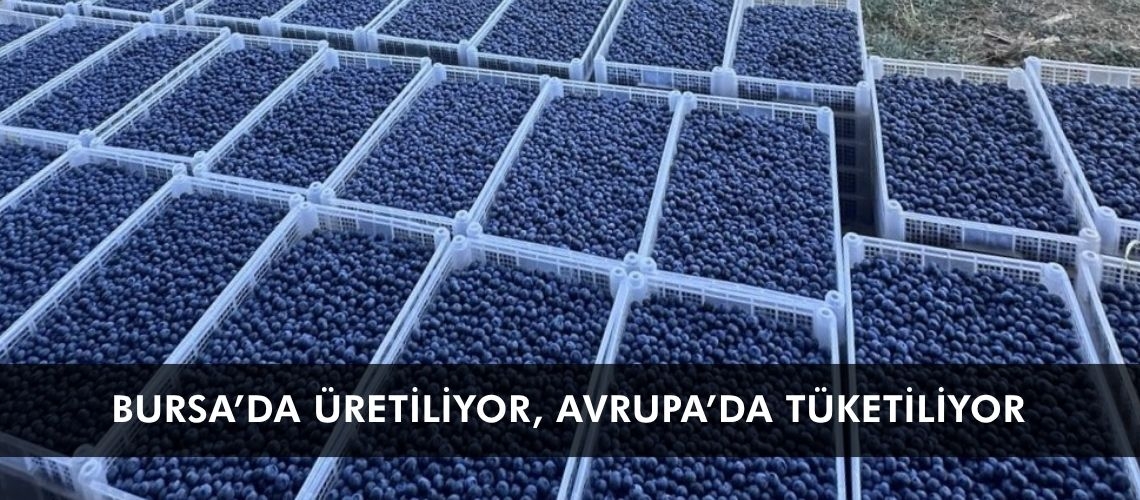 Bursa’da üretiliyor, Avrupa’da tüketiliyor