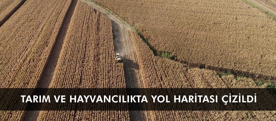 Tarım ve hayvancılıkta yol haritası çizildi