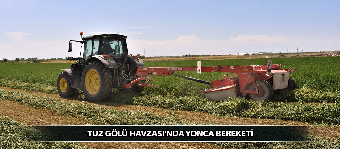 Tuz Gölü Havzası'nda yonca bereketi