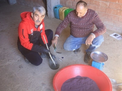 Kaliteli soğan için hastalıkla mücadele sürüyor