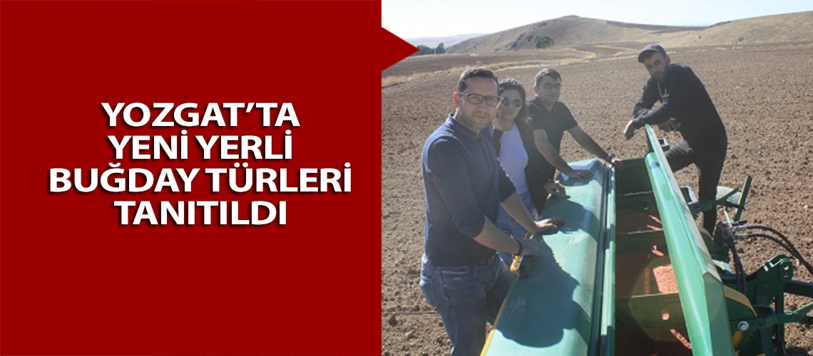 Yozgat’ta yeni yerli buğday türleri tanıtıldı