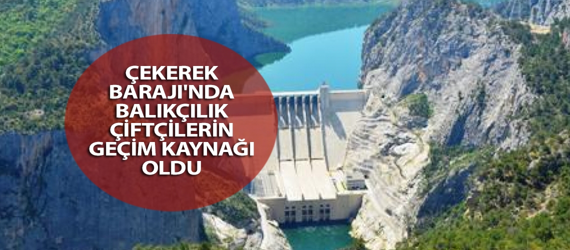 Çekerek Barajı'nda balıkçılık çiftçilerin geçim kaynağı oldu