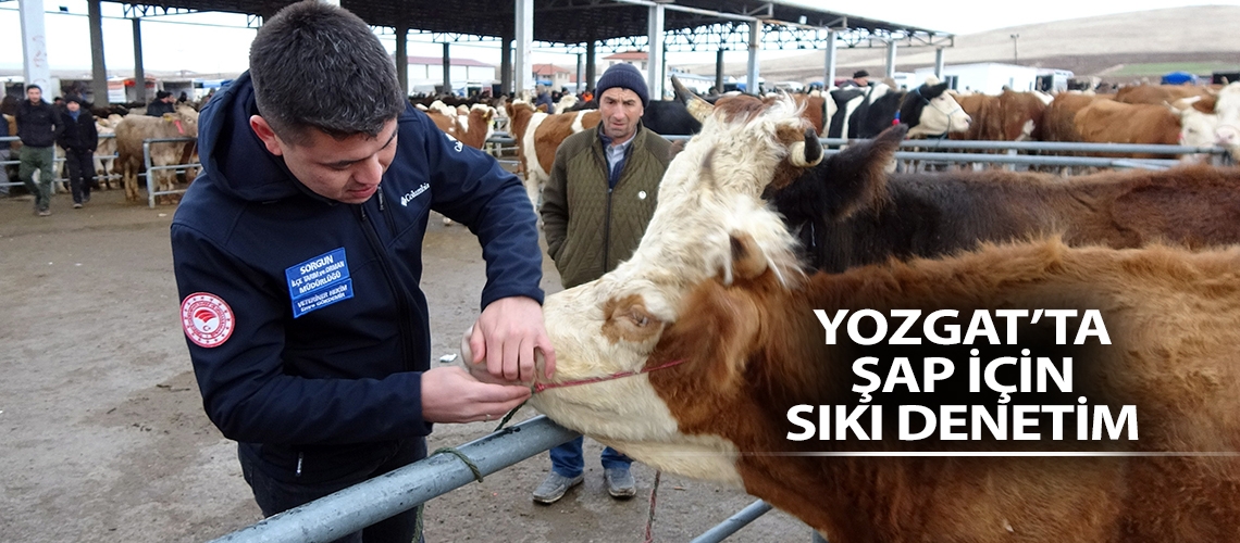 Yozgat’ta şap için sıkı denetim
