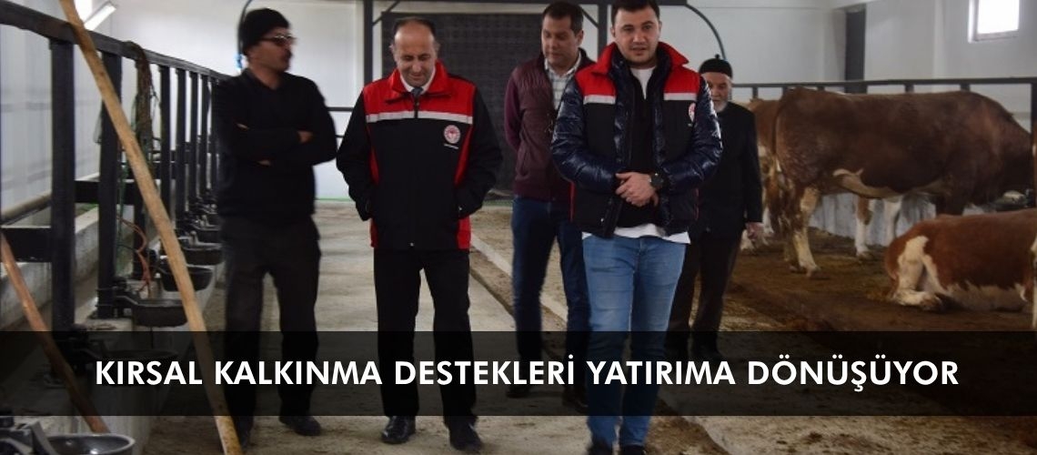 Kırsal kalkınma destekleri yatırıma dönüşüyor