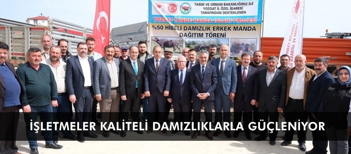 İşletmeler kaliteli damızlıklarla güçleniyor