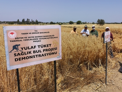 Çanakkale’den “Yulaf Tüket Sağlık Bul” çağrısı