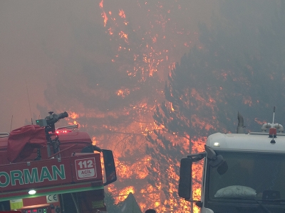 Bakan Yumaklı orman yangınlarına ilişkin açıklama yaptı