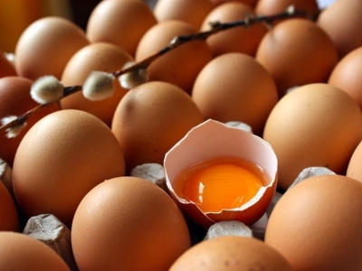 Yumurta ihracatı 418 milyon doları geçti