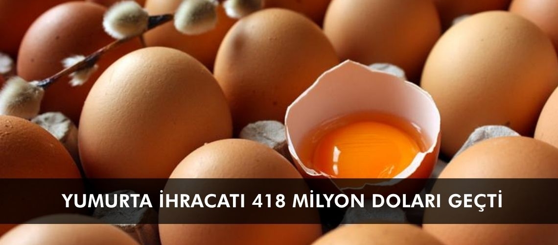 Yumurta ihracatı 418 milyon doları geçti