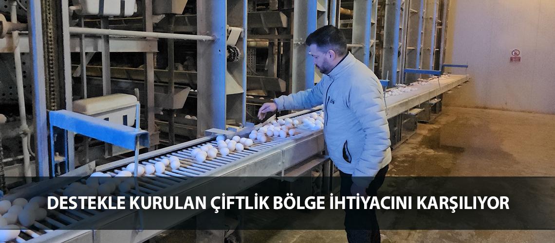 Destekle kurulan çiftlik bölge ihtiyacını karşılıyor